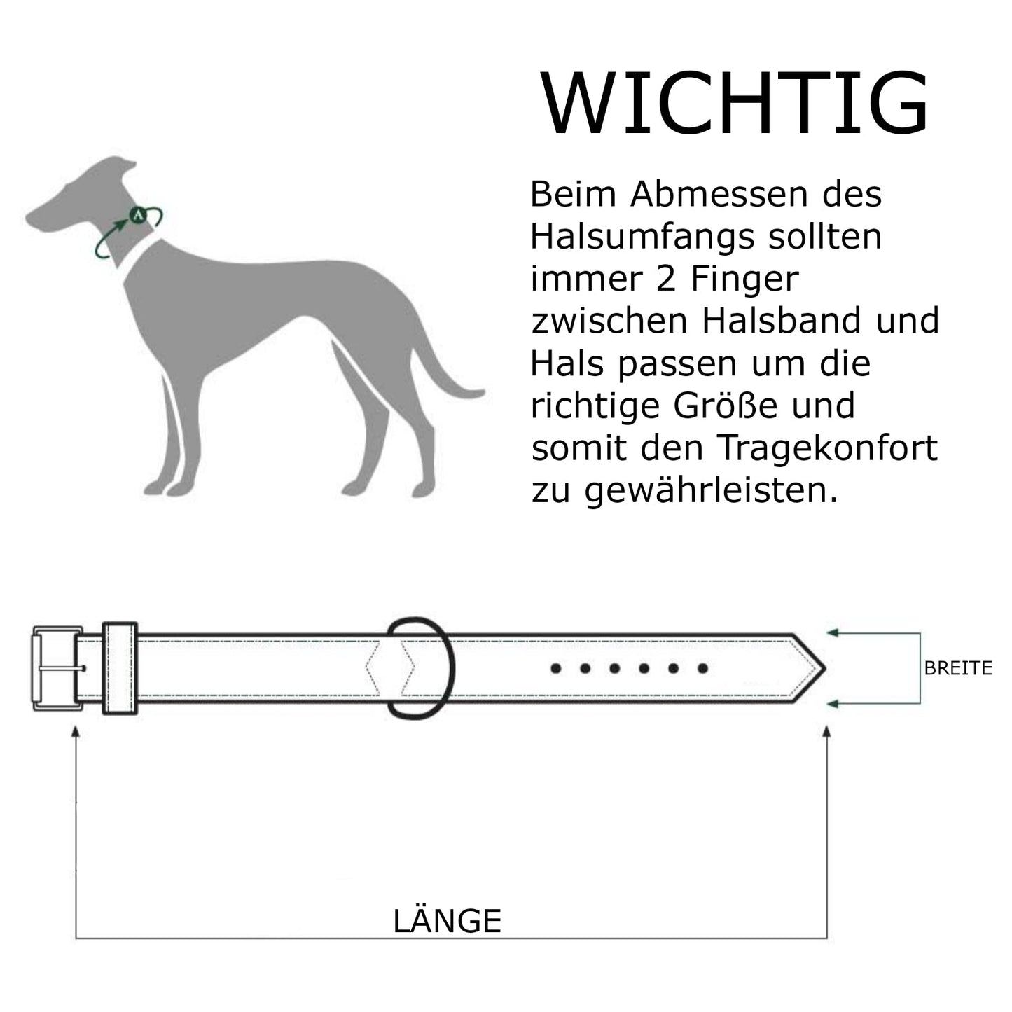 Dogostyle© Halsband_Amy personalisierbar