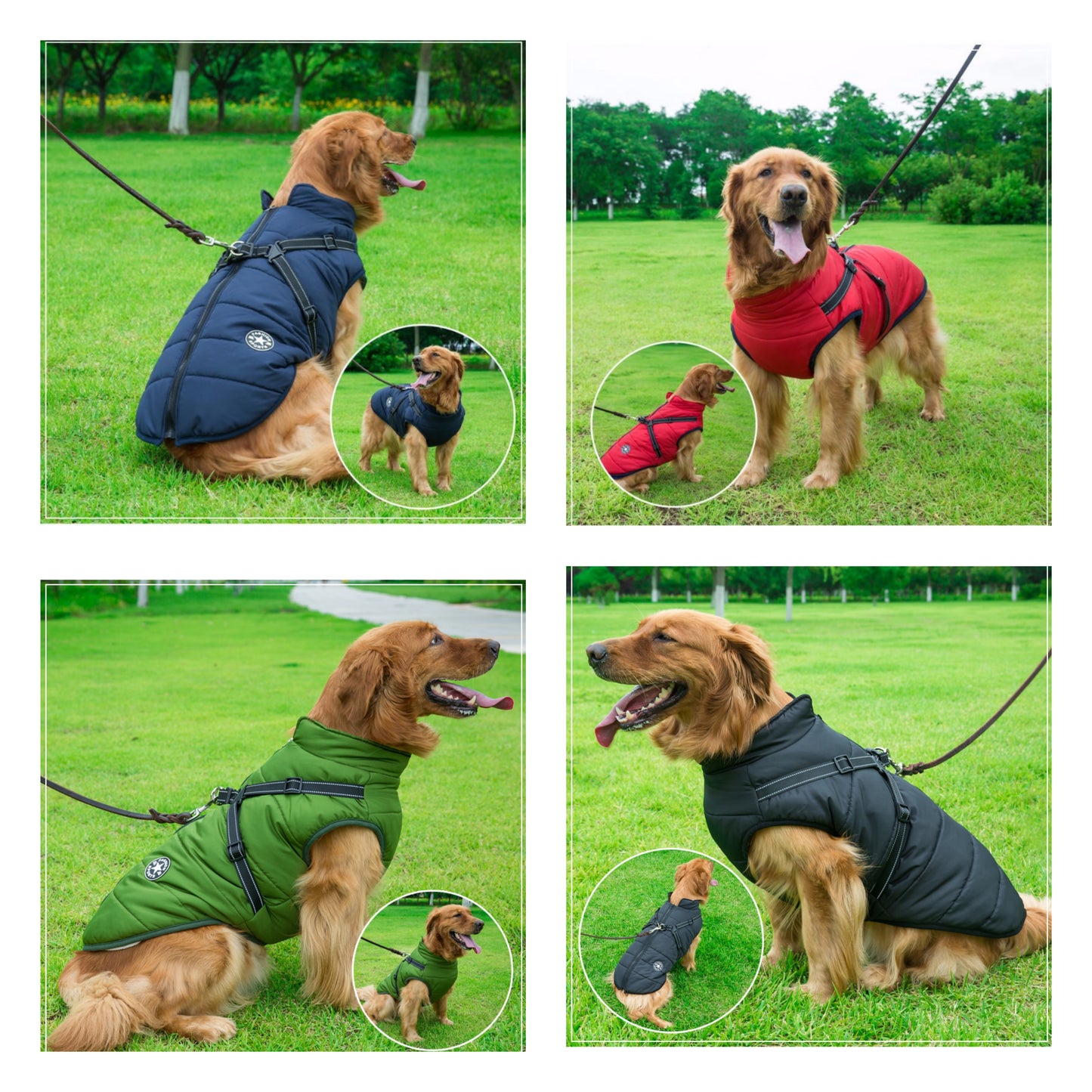 Dogostyle© Wasserabweisende Hundejacke mit integriertem Geschirr